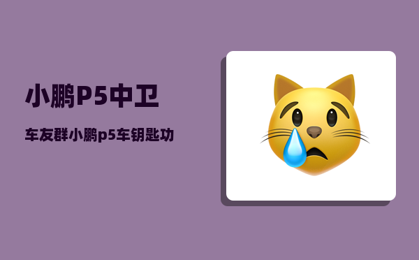 小鹏P5中卫车友群_小鹏p5车钥匙功能介绍-图1