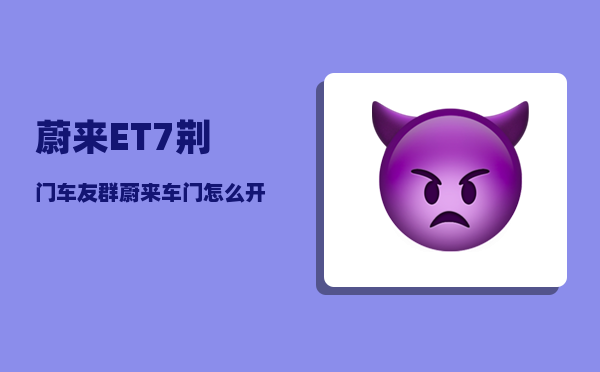 蔚来ET7荆门车友群_蔚来车门怎么开-图1