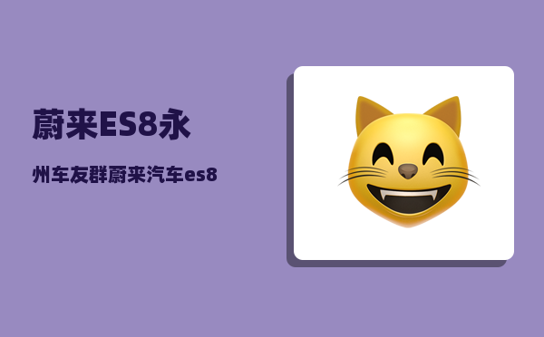 蔚来ES8永州车友群_蔚来汽车es8话筒怎么连接-图1