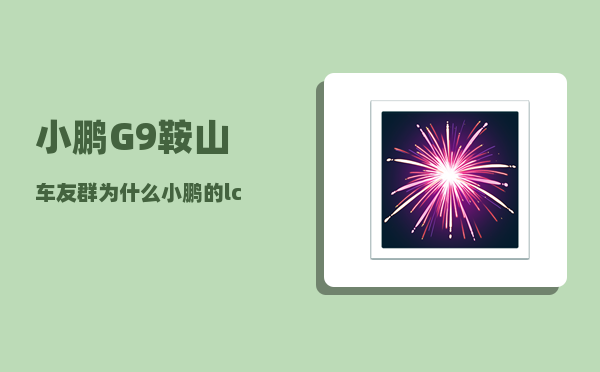 小鹏G9鞍山车友群_为什么小鹏的lcc不能用-图1