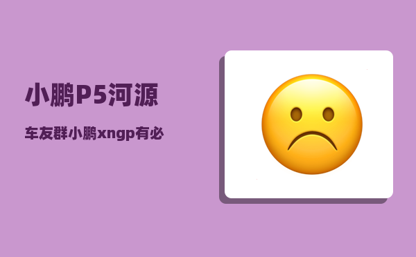 小鹏P5河源车友群_小鹏xngp有必要加装吗-图1