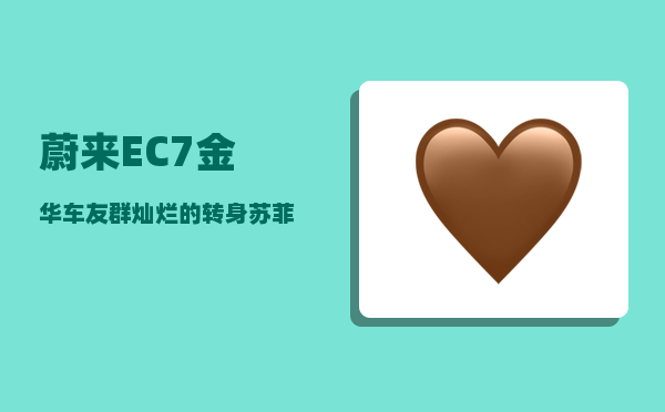 蔚来EC7金华车友群_灿烂的转身苏菲开的什么车-图1