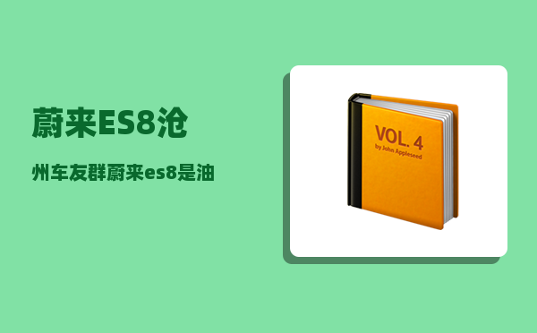 蔚来ES8沧州车友群_蔚来es8是油电混合吗-图1