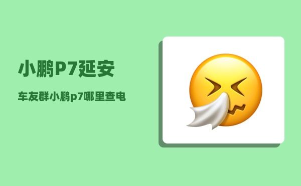 小鹏P7延安车友群_小鹏p7哪里查电池容量-图1