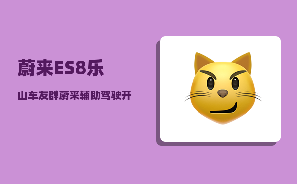 蔚来ES8乐山车友群_蔚来辅助驾驶开启方法-图1