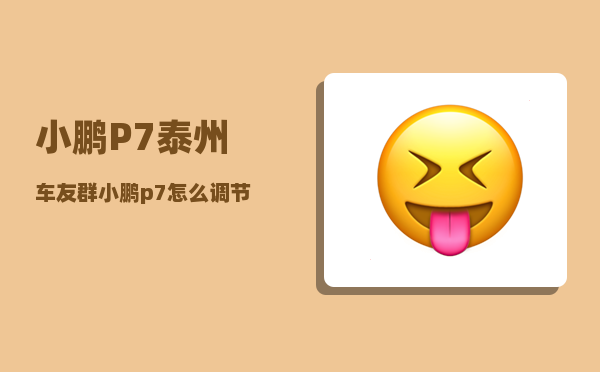 小鹏P7泰州车友群_小鹏p7怎么调节电量百分比-图1