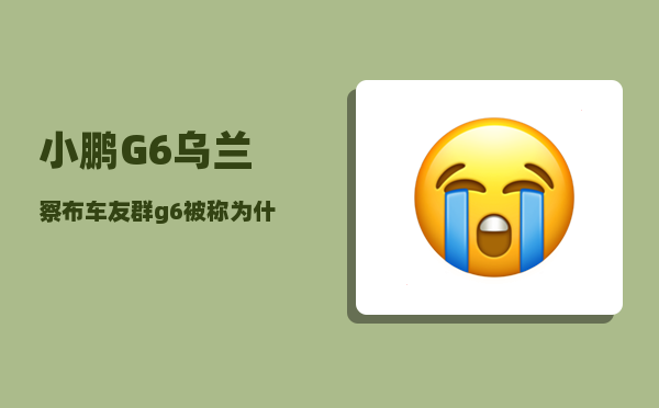 小鹏G6乌兰察布车友群_g6被称为什么-图1