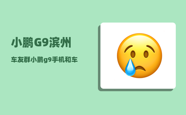 小鹏G9滨州车友群_小鹏g9手机和车机连接的流程-图1