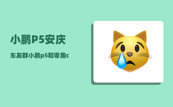 小鹏P5安庆车友群_小鹏p5和零跑c01哪个好-图1
