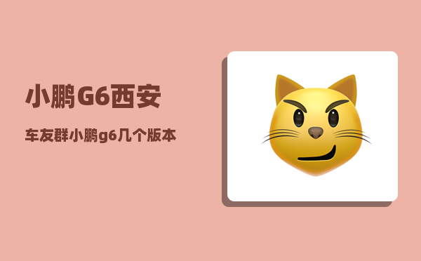 小鹏G6西安车友群_小鹏g6几个版本-图1