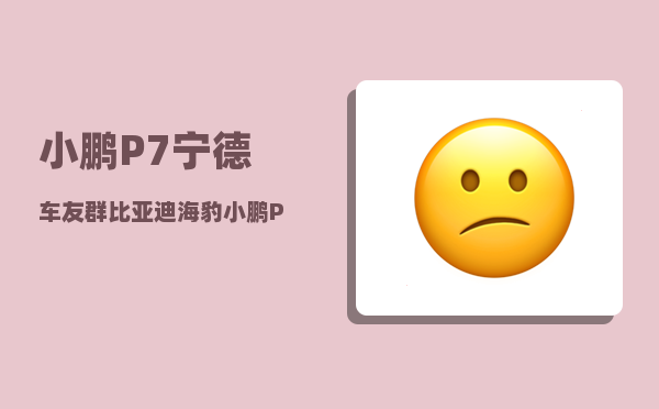 小鹏P7宁德车友群_比亚迪海豹小鹏P7不好吗-图1