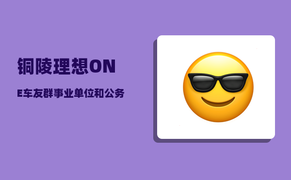 铜陵理想ONE车友群_事业单位和公务员怎样抉择-图1