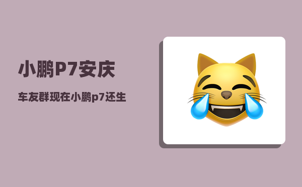 小鹏P7安庆车友群_现在小鹏p7还生产吗-图1