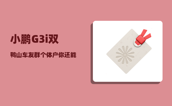 小鹏G3i双鸭山车友群_个体户你还能撑多久了-图1