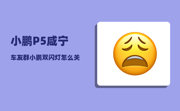 小鹏P5咸宁车友群_小鹏双闪灯怎么关-图1