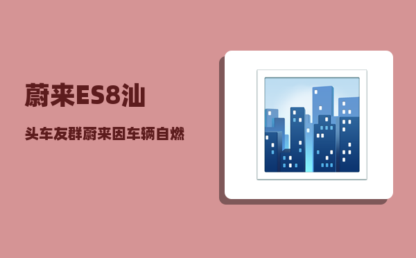 蔚来ES8汕头车友群_蔚来因车辆自燃召回4803辆ES8-图1