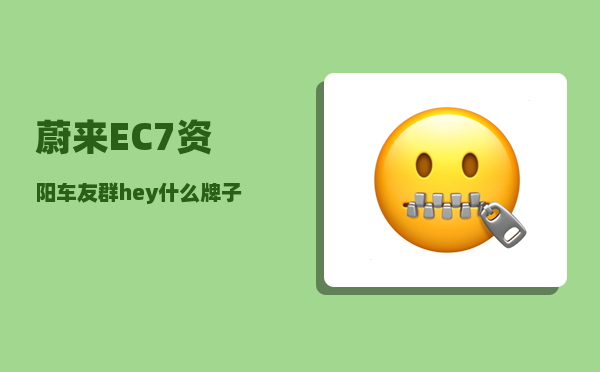 蔚来EC7资阳车友群_hey什么牌子的车-图1