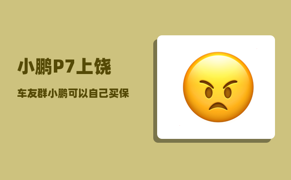 小鹏P7上饶车友群_小鹏可以自己买保险吗-图1