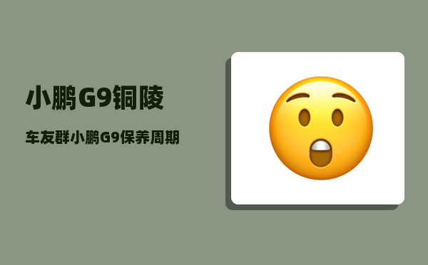 小鹏G9铜陵车友群_小鹏G9保养周期及费用-图1