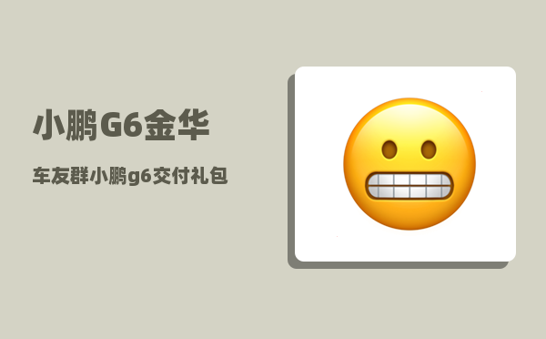小鹏G6金华车友群_小鹏g6交付礼包是什么-图1