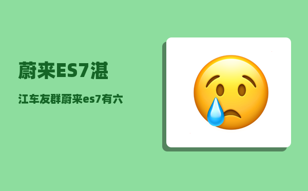 蔚来ES7湛江车友群_蔚来es7有六座吗-图1
