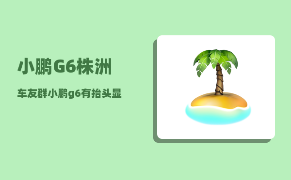 小鹏G6株洲车友群_小鹏g6有抬头显示吗-图1
