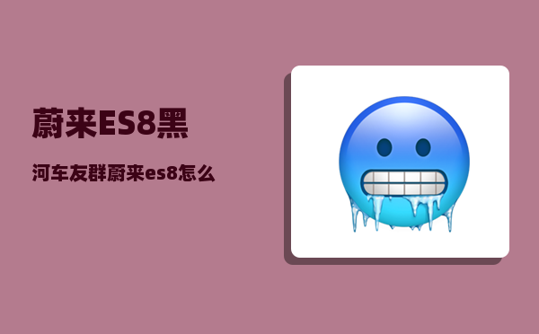 蔚来ES8黑河车友群_蔚来es8怎么换电-图1