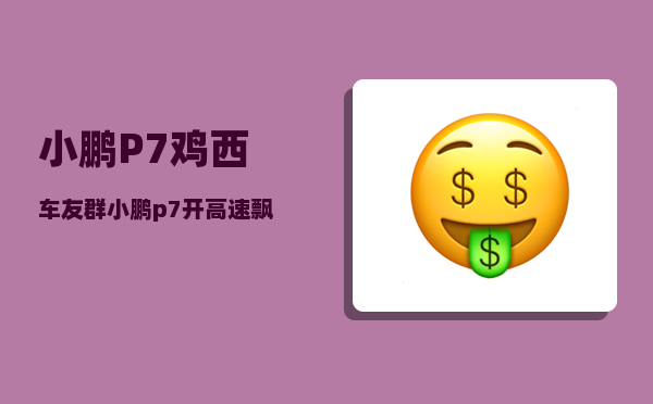 小鹏P7鸡西车友群_小鹏p7开高速飘吗-图1