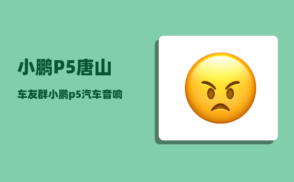小鹏P5唐山车友群_小鹏p5汽车音响调节最佳效果-图1