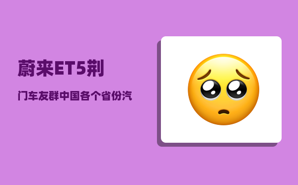 蔚来ET5荆门车友群_中国各个省份汽车品牌排行-图1