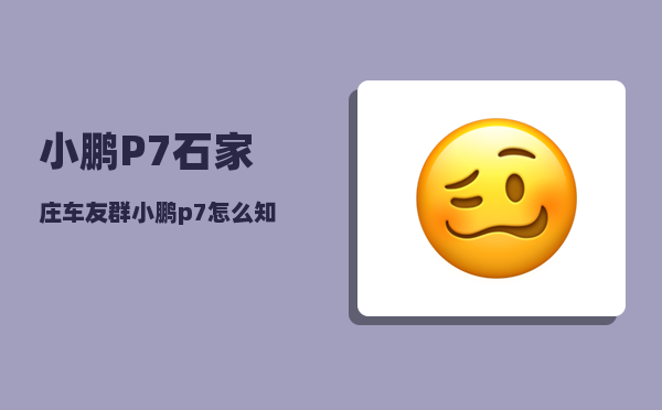 小鹏P7石家庄车友群_小鹏p7如何远程查行程记录-图1