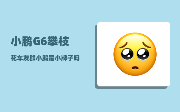 小鹏G6攀枝花车友群_小鹏是小牌子吗-图1