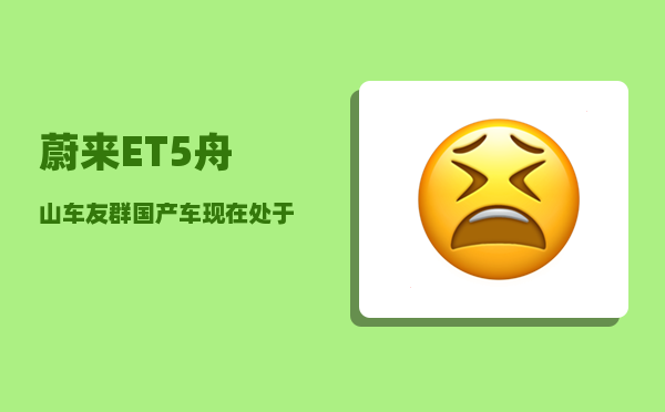 蔚来ET5舟山车友群_国产车现在处于什么水平-图1