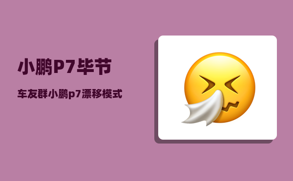 小鹏P7毕节车友群_小鹏p7漂移模式怎么设置-图1