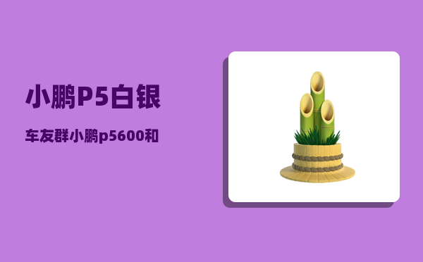 小鹏P5白银车友群_小鹏p5600和550区别-图1