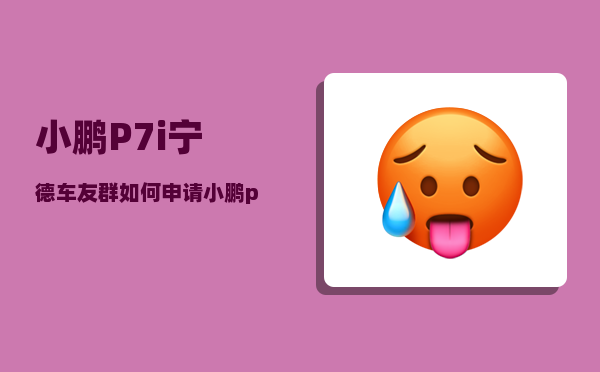 小鹏P7i宁德车友群_如何申请小鹏p7深度试驾48小时-图1