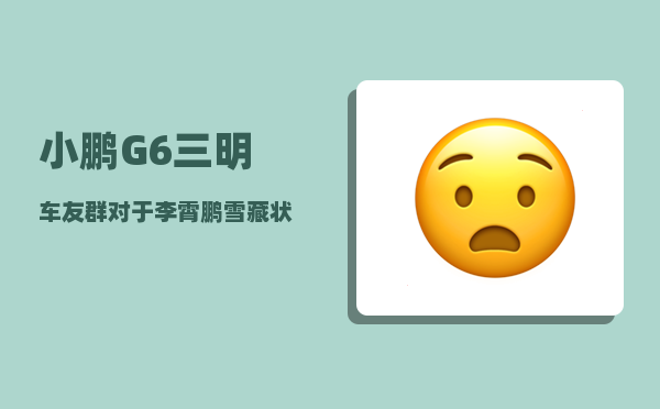 小鹏G6三明车友群_对于李霄鹏雪藏状态爆棚的格德斯-图1