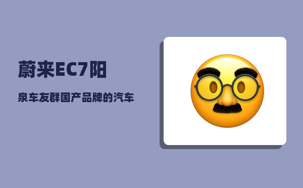 蔚来EC7阳泉车友群_国产品牌的汽车到底哪个品牌实力最强-图1