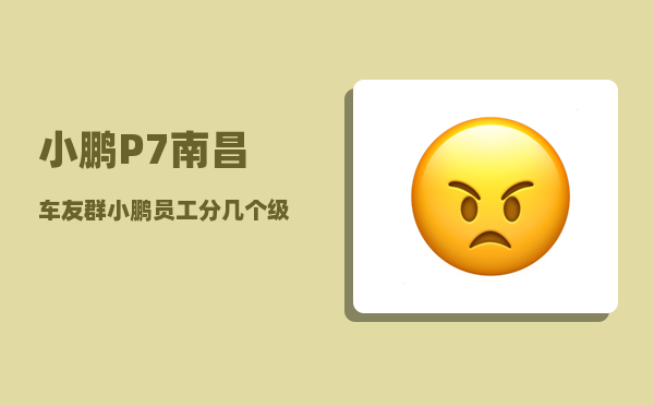 小鹏P7南昌车友群_小鹏员工分几个级别-图1
