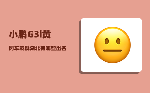 小鹏G3i黄冈车友群_湖北有哪些出名的商人-图1