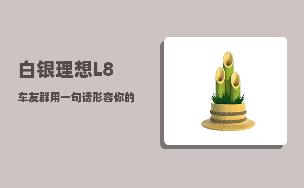 白银理想L8车友群_用一句话形容你的工资-图1