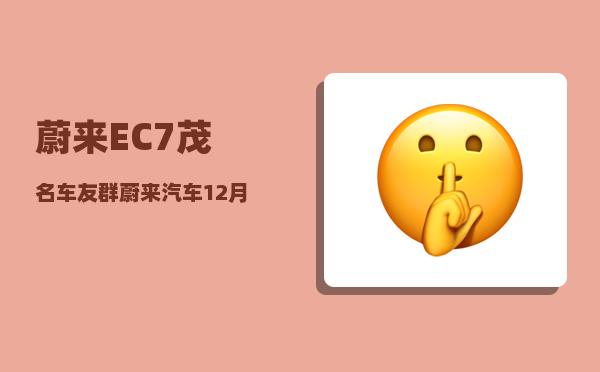 蔚来EC7茂名车友群_蔚来汽车12月销量-图1
