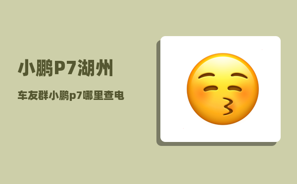 小鹏P7湖州车友群_小鹏p7补贴后真实价格-图1