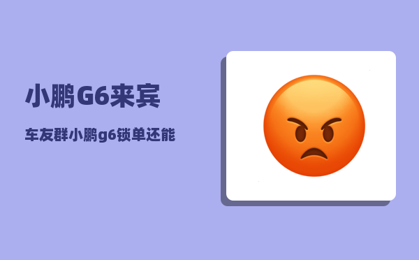 小鹏G6来宾车友群_小鹏g6锁单还能改配置吗-图1