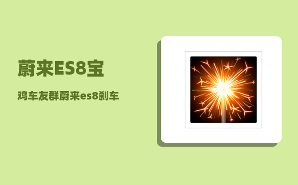 蔚来ES8宝鸡车友群_蔚来es8刹车异响-图1