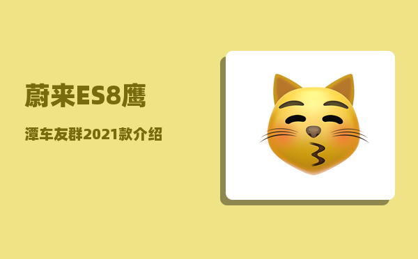 蔚来ES8鹰潭车友群_2021款介绍-图1