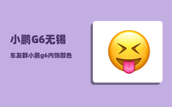 小鹏G6无锡车友群_小鹏g6内饰颜色-图1