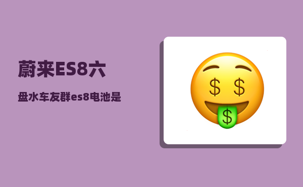 蔚来ES8六盘水车友群_es8电池是什么-图1
