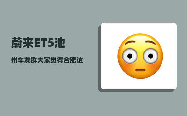 蔚来ET5池州车友群_大家觉得合肥这个城市怎么样-图1