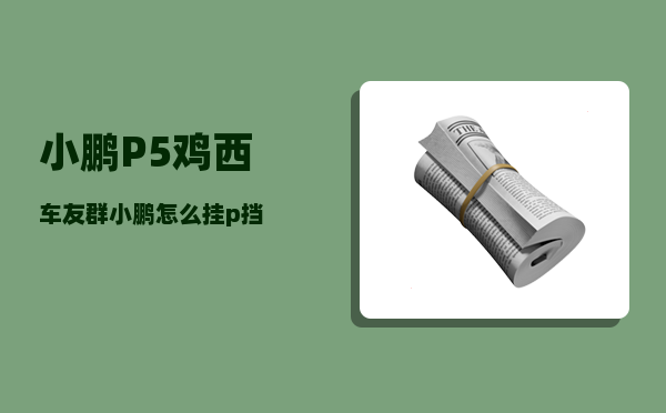 小鹏P5鸡西车友群_小鹏怎么挂p挡-图1